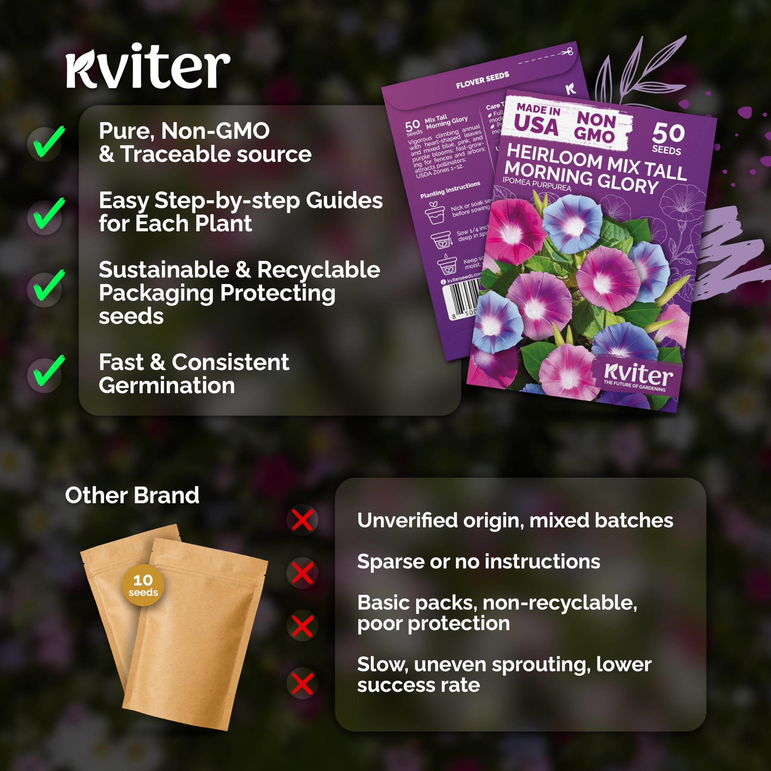 KVITER morning glory in a container window box, bright flowers attract pollinators