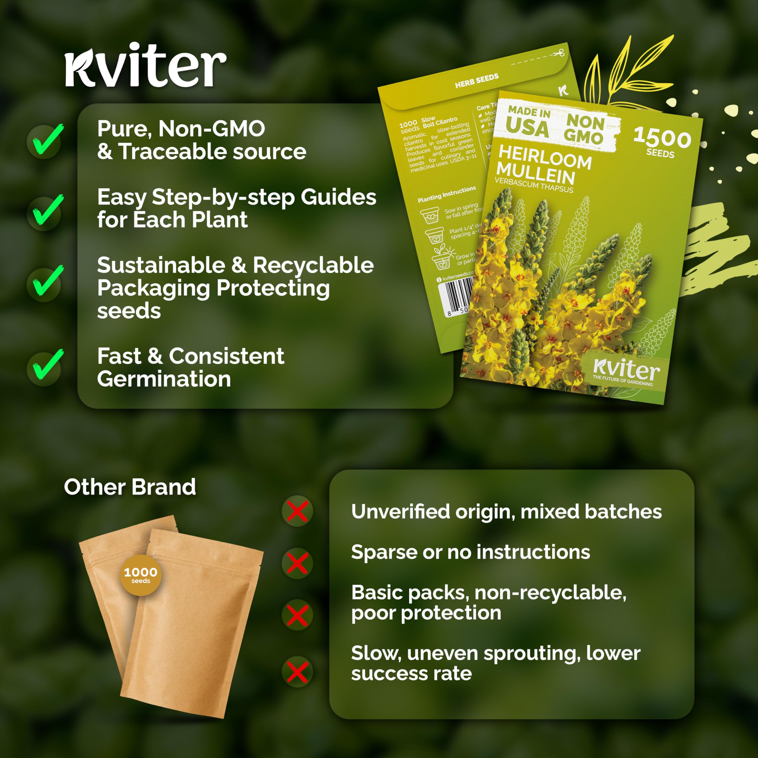 KVITER tall mullein plants forming a meadow accent.