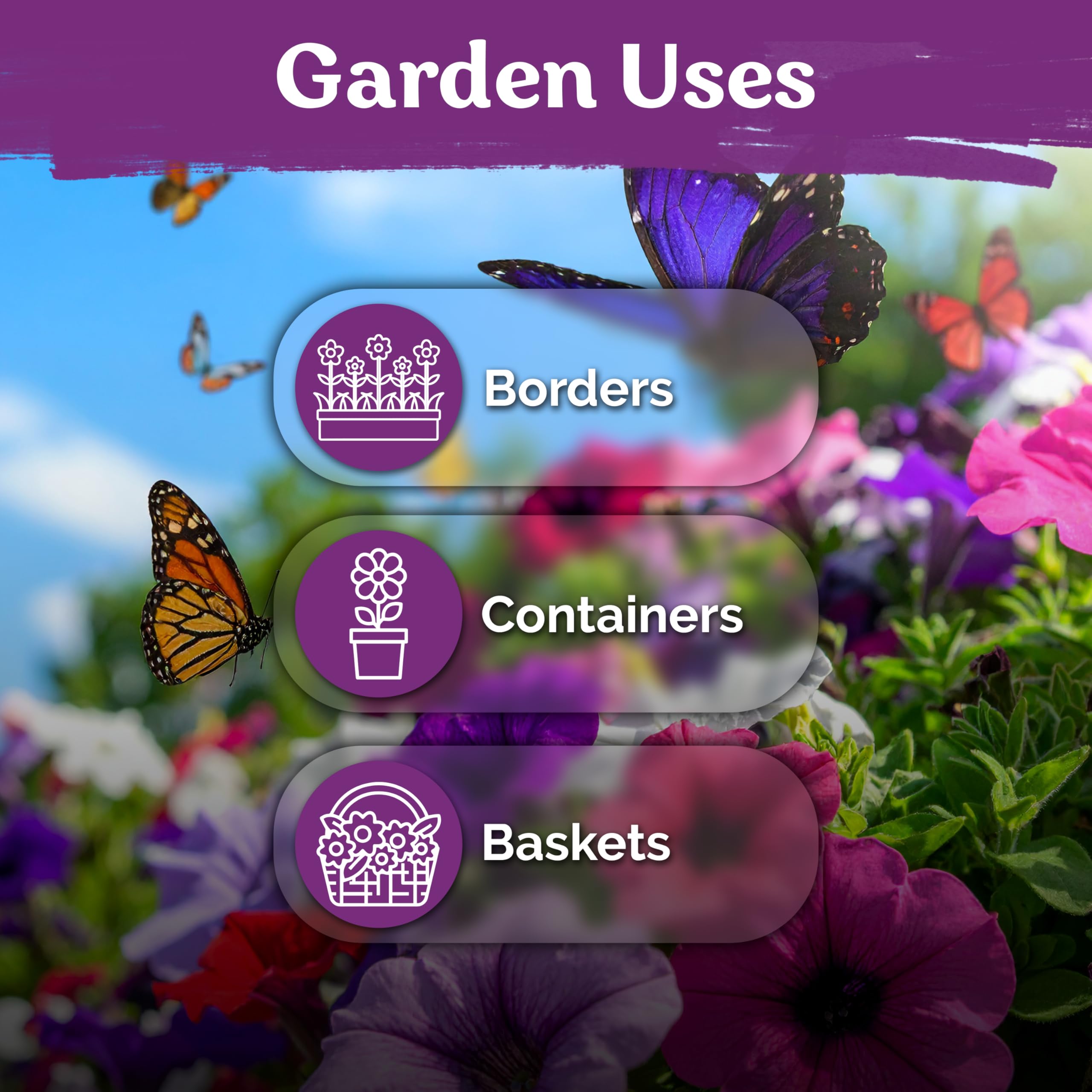 KVITER open-pollinated, untreated seeds support pollinators in outdoor spaces.