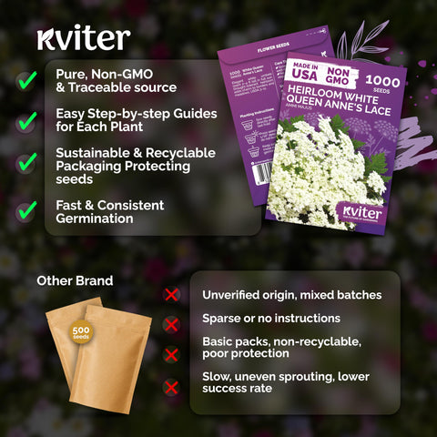 KVITER pansy seeds create compact perimeters with neat perennial mounds.
