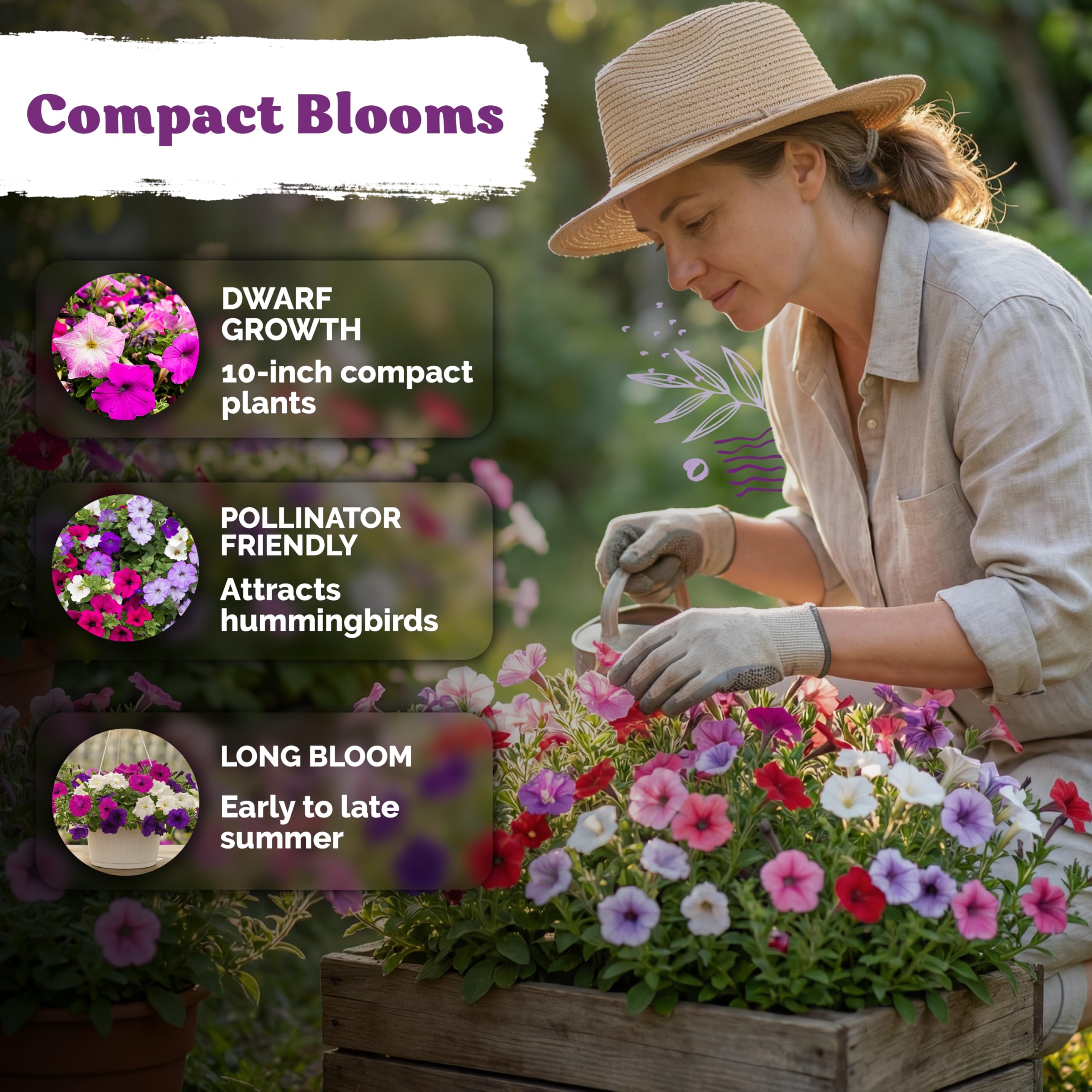 KVITER petunia seeds in pots offer season-long color for containers.