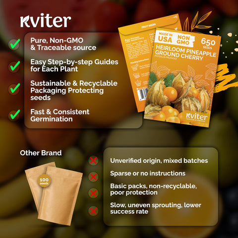 KVITER pineapple ground cherry fruit close-up, highlighting tropical sweetness
