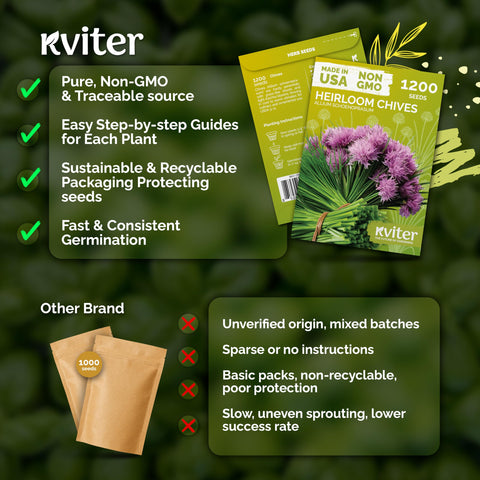 KVITER pollinator-friendly chives attract beneficial insects in the garden.