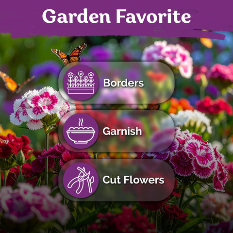 Pollinator-friendly blooms attract bees and butterflies to the flower patch.