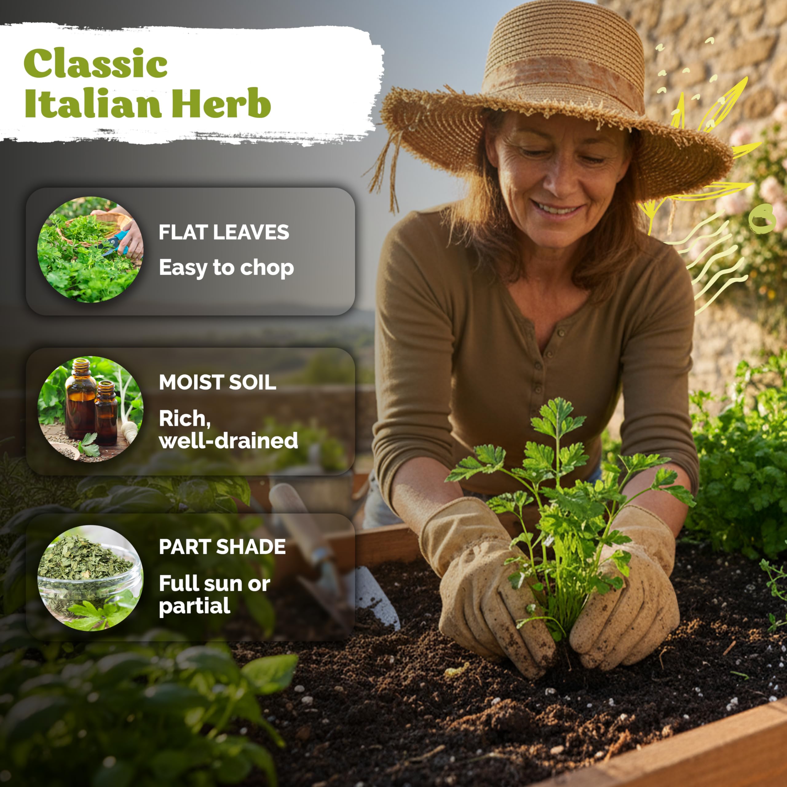 KVITER pollinator-friendly parsley blooms attracting beneficial insects