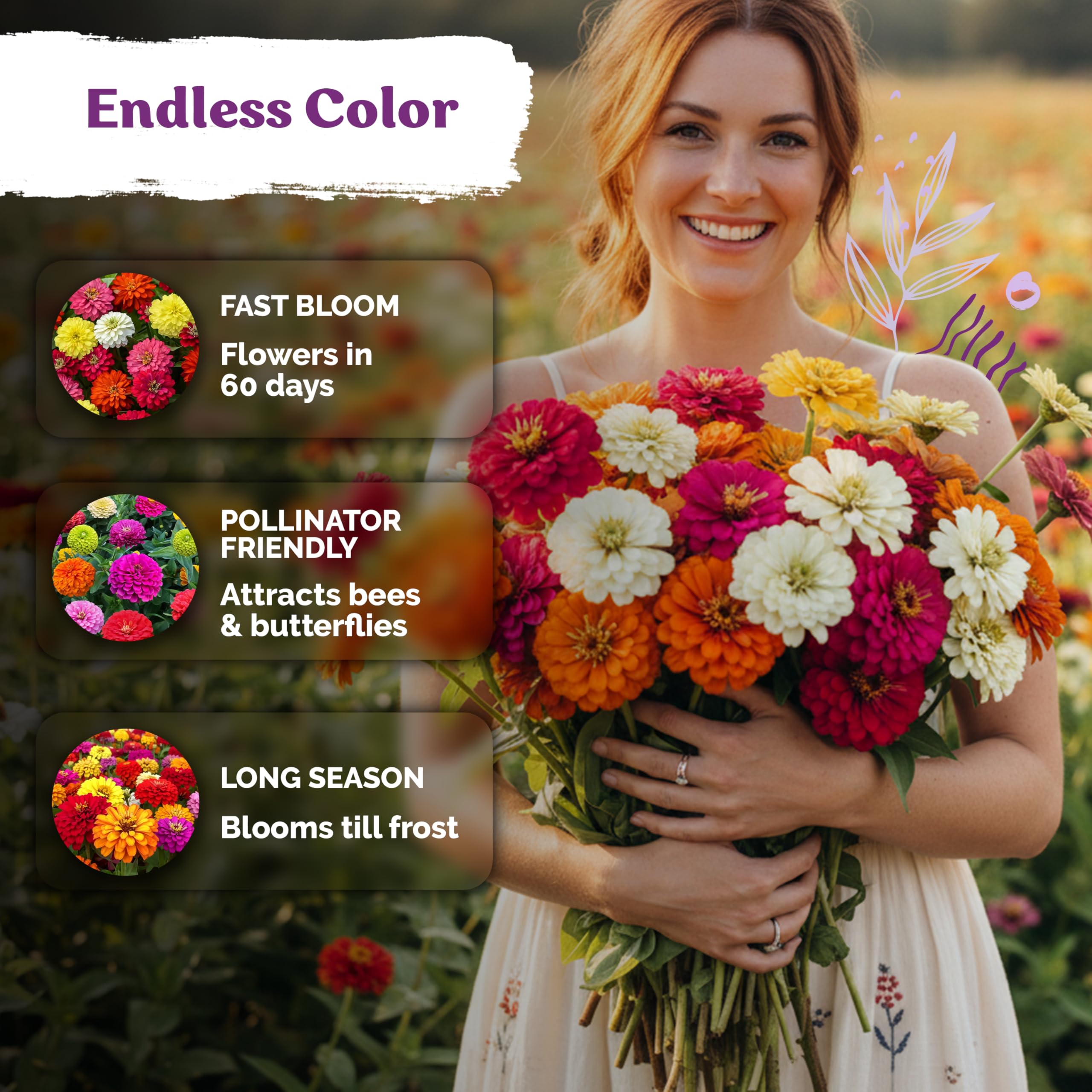 KVITER zinnia attracts pollinators, boosting garden life during bloom season.