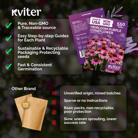 KVITER coneflower seeds enjoy full sun to partial sun planting.