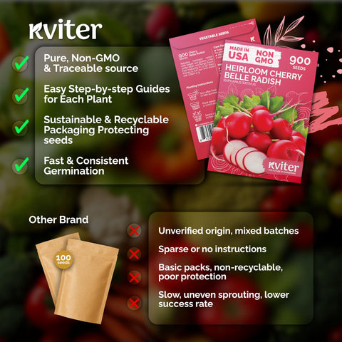 KVITER Cherry Belle radish roots deliver vivid red color and crisp white flesh.