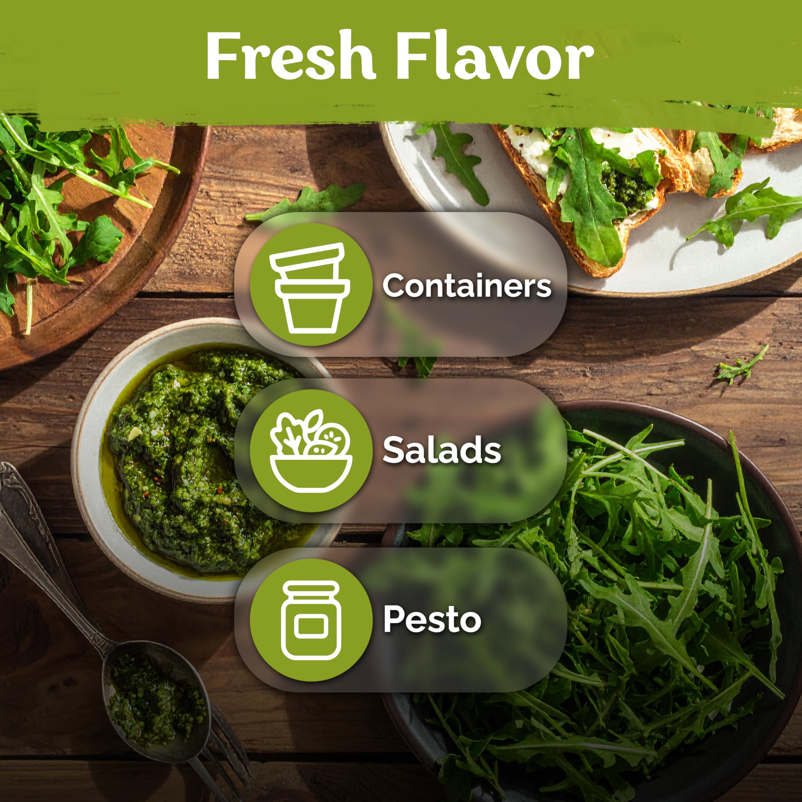 KVITER Roquette arugula seeds provide fast harvest in 2–3 weeks.