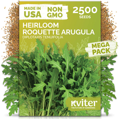 KVITER Roquette arugula seeds packaging for easy home sowing.
