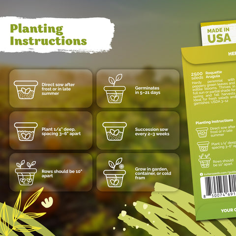 KVITER Roquette arugula seeds sowing depth quarterinch guide for even germination.