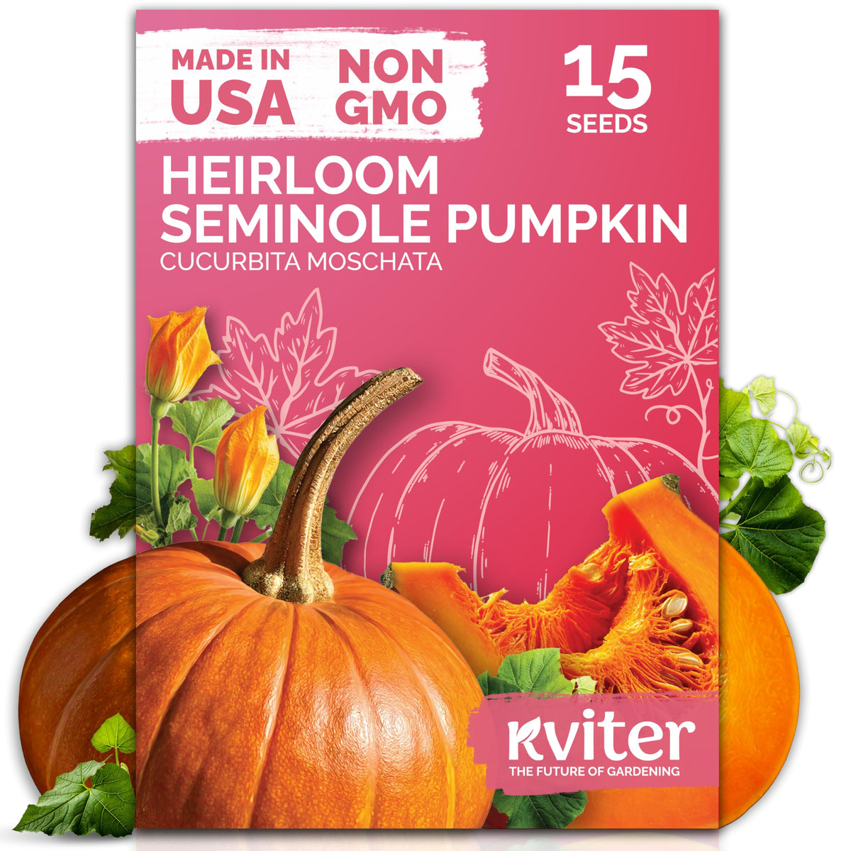 KVITER 15 Seminole pumpkin seeds packaging ready for outdoor planting