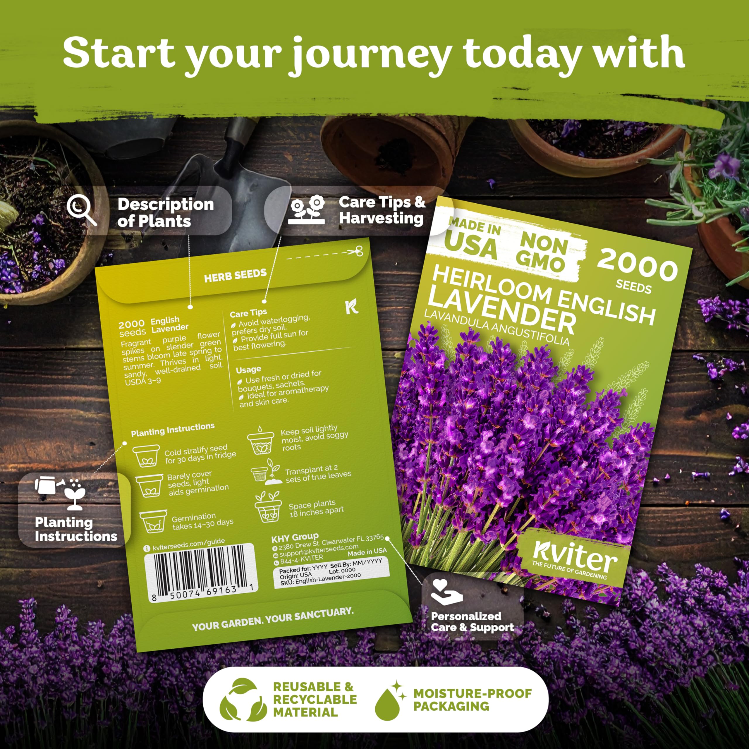 KVITER sowing lavender seeds for reliable germination in containers or beds