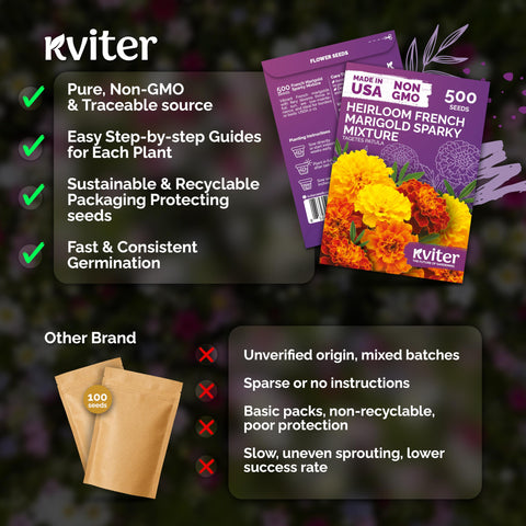 KVITER Sparky Mix blooms brightening a sunny container garden.