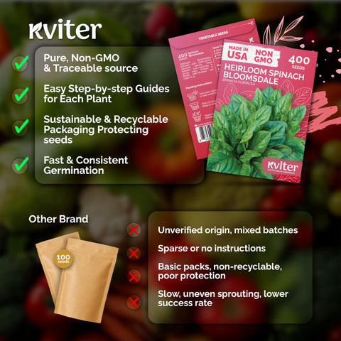 KVITER spinach heat-tolerance growth hint for hot-season harvests.