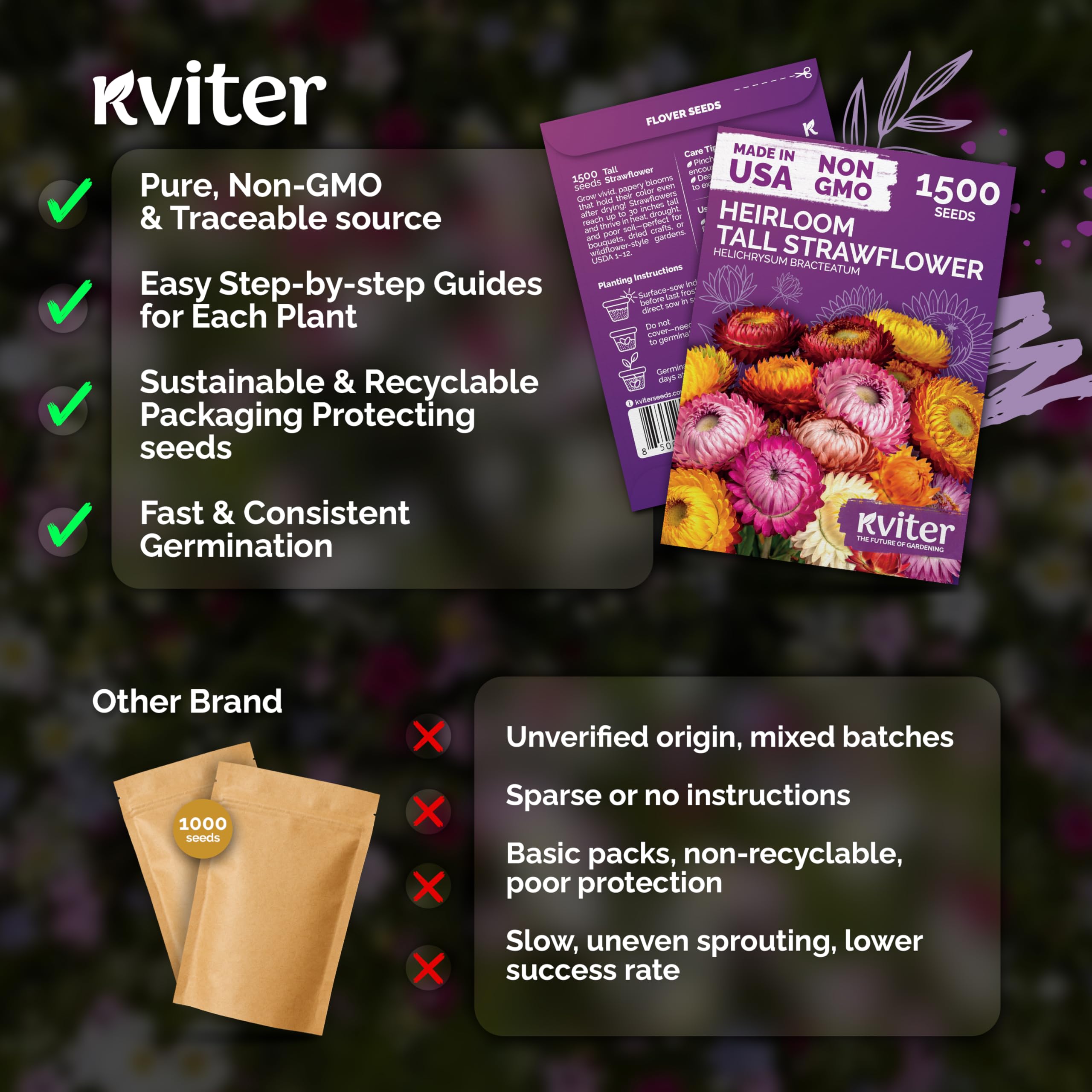 KVITER potted strawflowers brighten sunny patios with tall blooms.