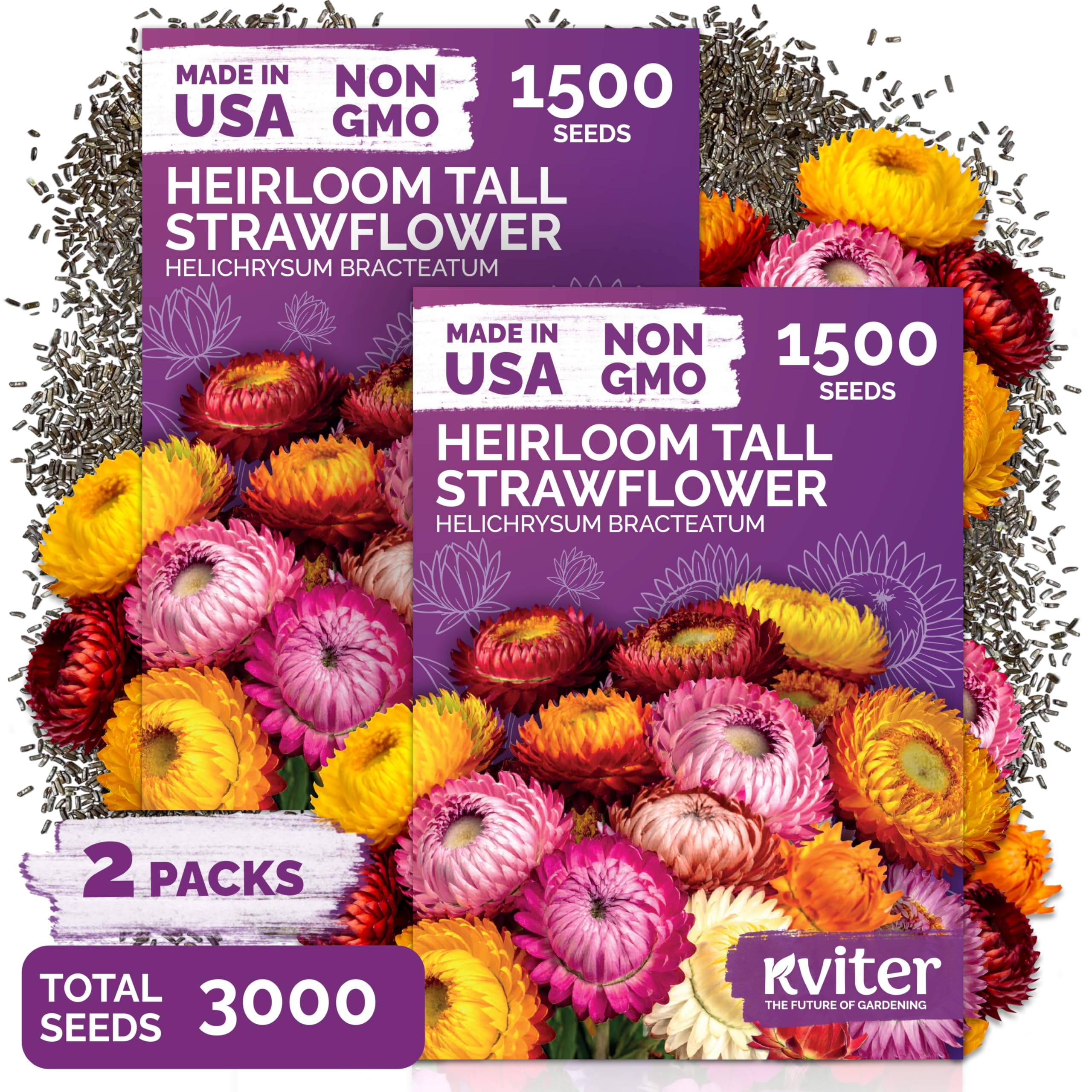 KVITER strawflower seed packets two-pack for spring planting and vibrant color.