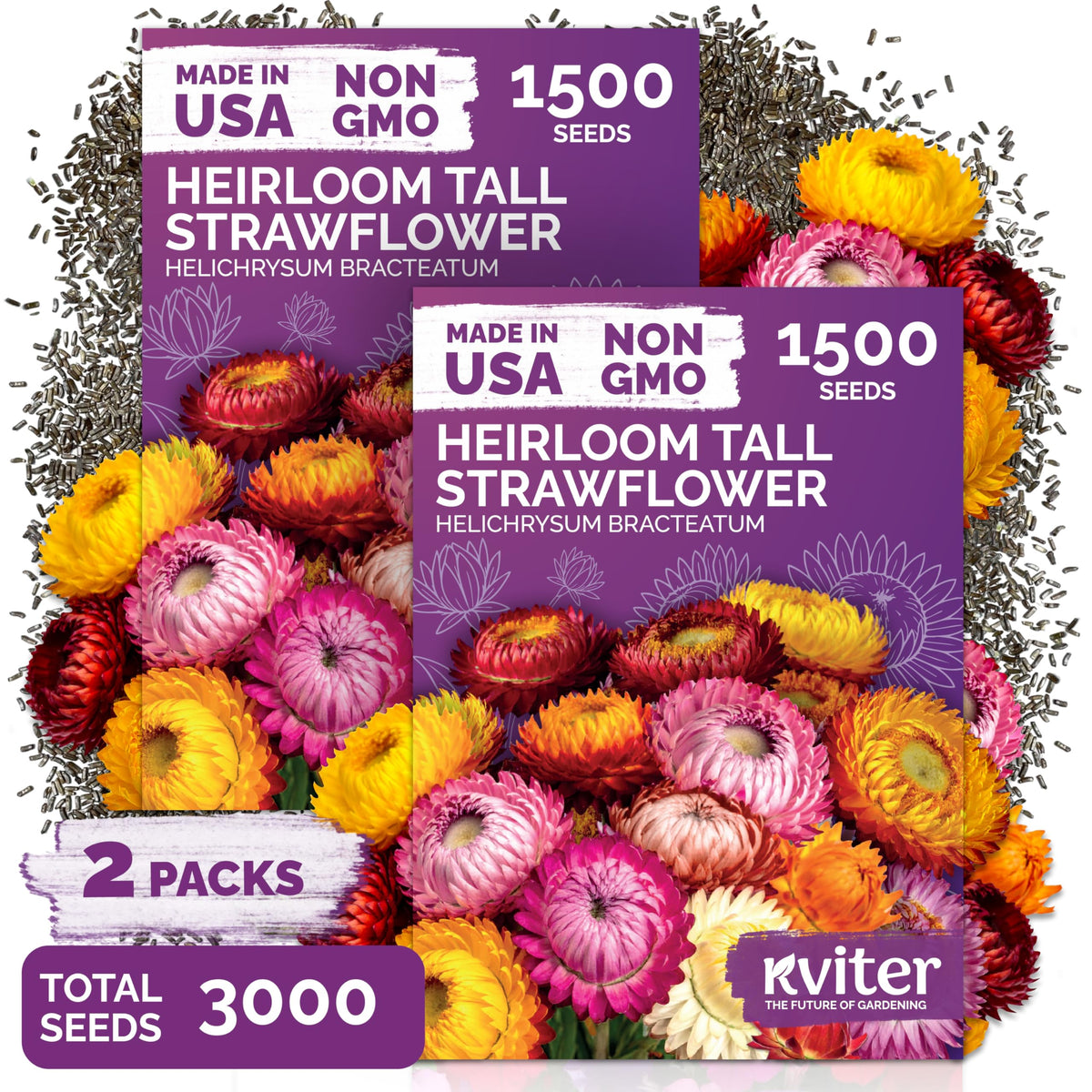 KVITER strawflower seed packets two-pack for spring planting and vibrant color.