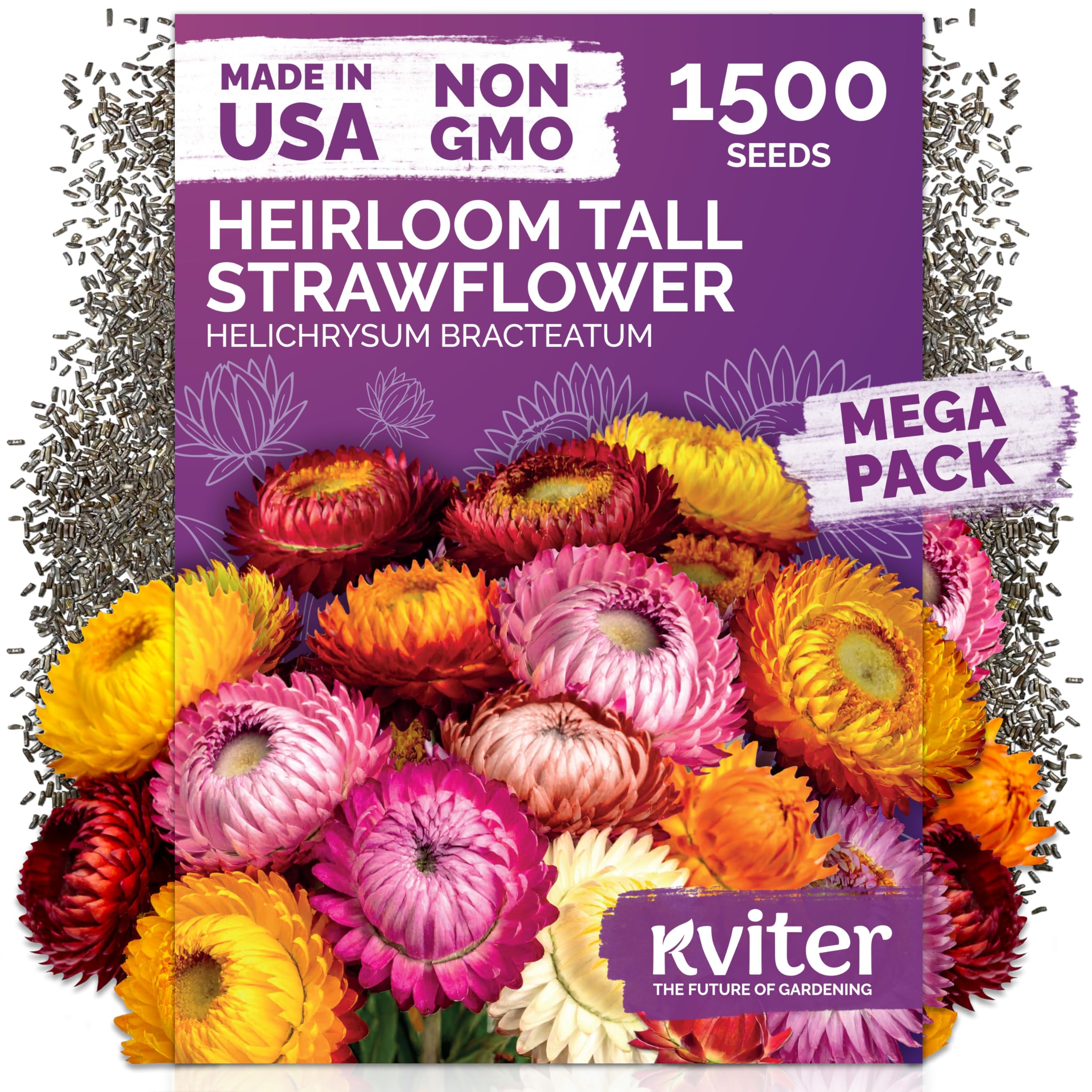 KVITER strawflower seeds package ready to sow for vibrant blooms.