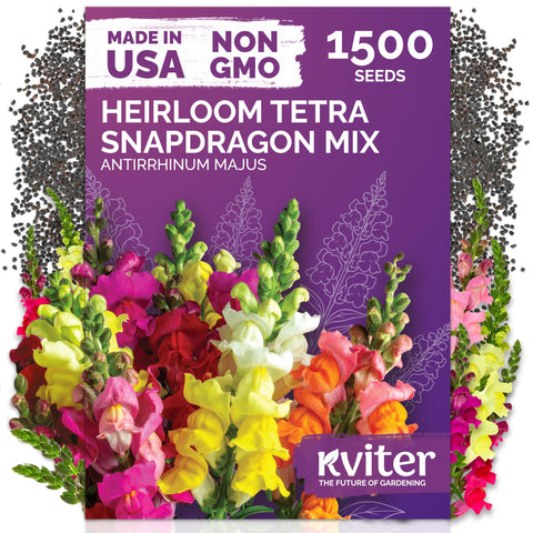 KVITER tetra mix seeds pack front, ideal for outdoor garden planting