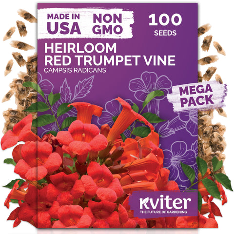 KVITER trumpet vine seeds packet showing red blooms and climbing potential for fences.