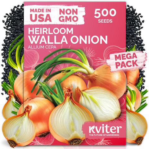 KVITER Walla Walla onion seeds pack ready for planting with strong germination.