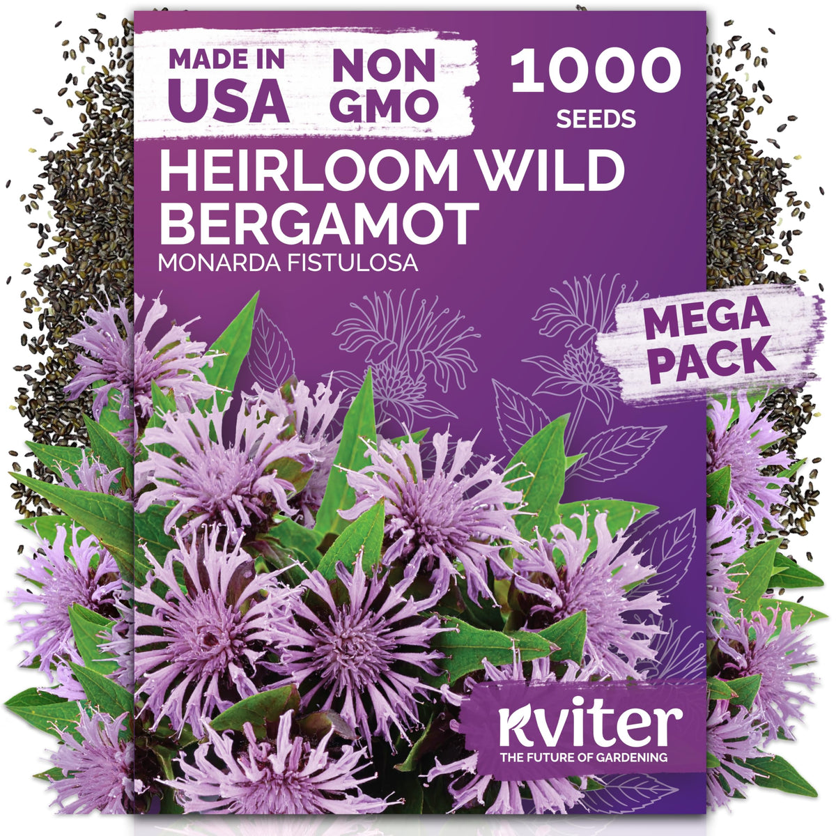 KVITER wild bergamot seeds ready for outdoor planting to attract pollinators.
