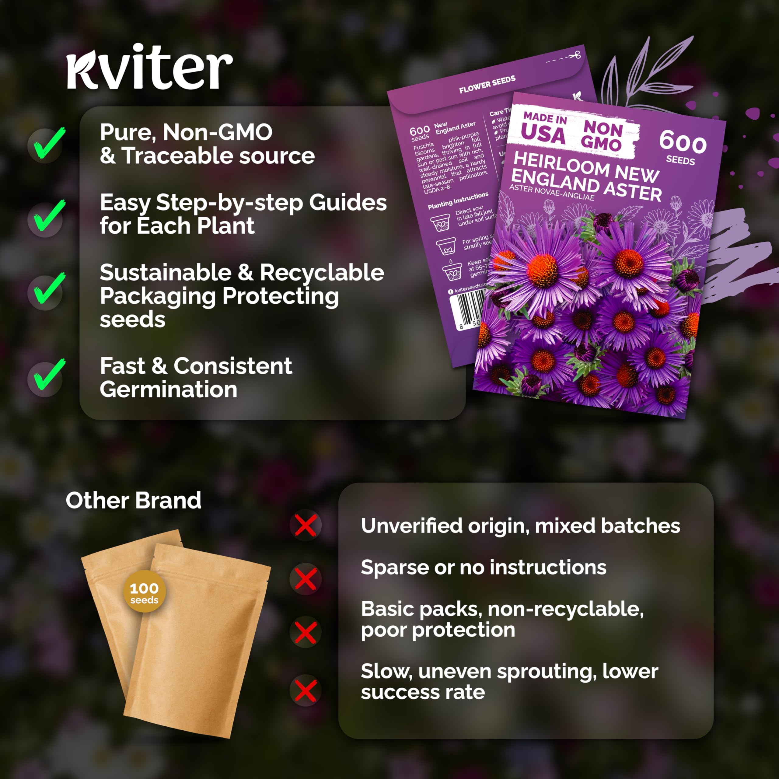 Wildflower border design featuring KVITER asters