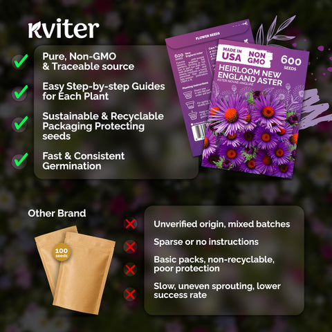 Wildflower border design featuring KVITER asters