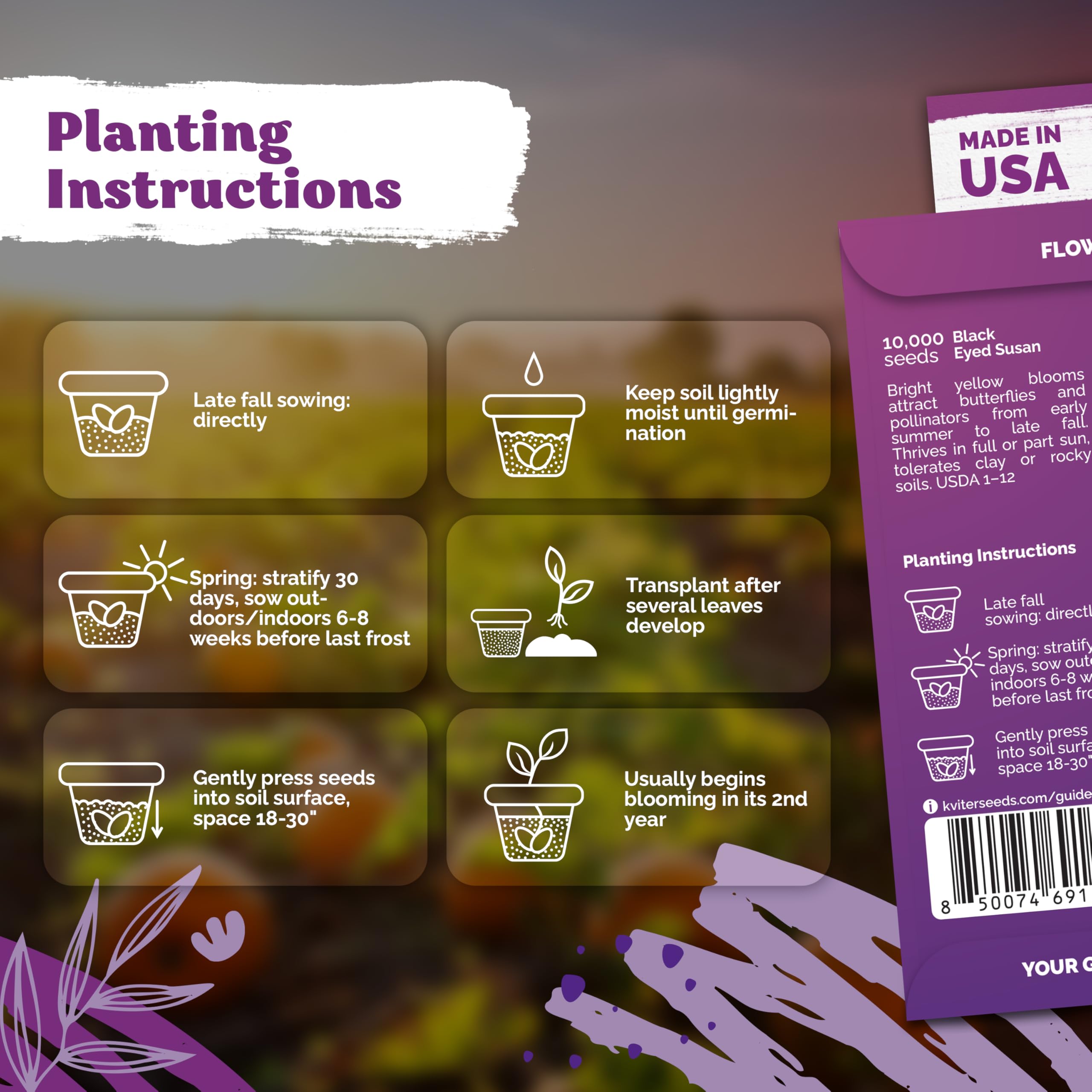 Wildflower seeds for beds borders and containers ready to diversify outdoor spaces.