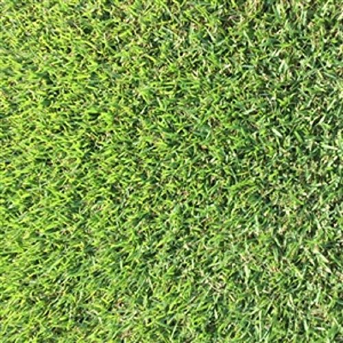 KVITER Zoysia seeds 1/8 lb pack, close-up of seed texture for easy lawn establishment.