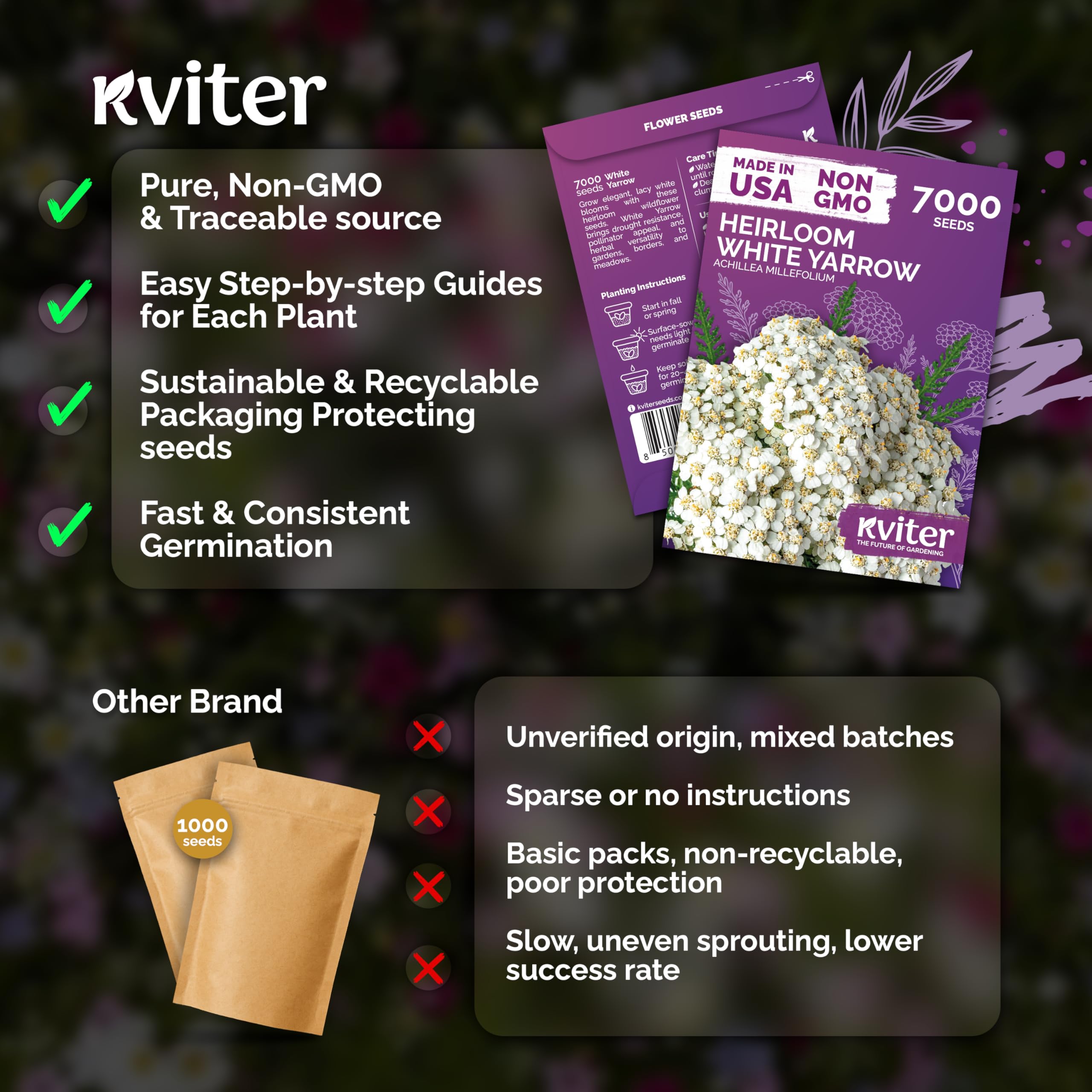 KVITER 7000 White Yarrow blossoms attract butterflies and beneficial insects.
