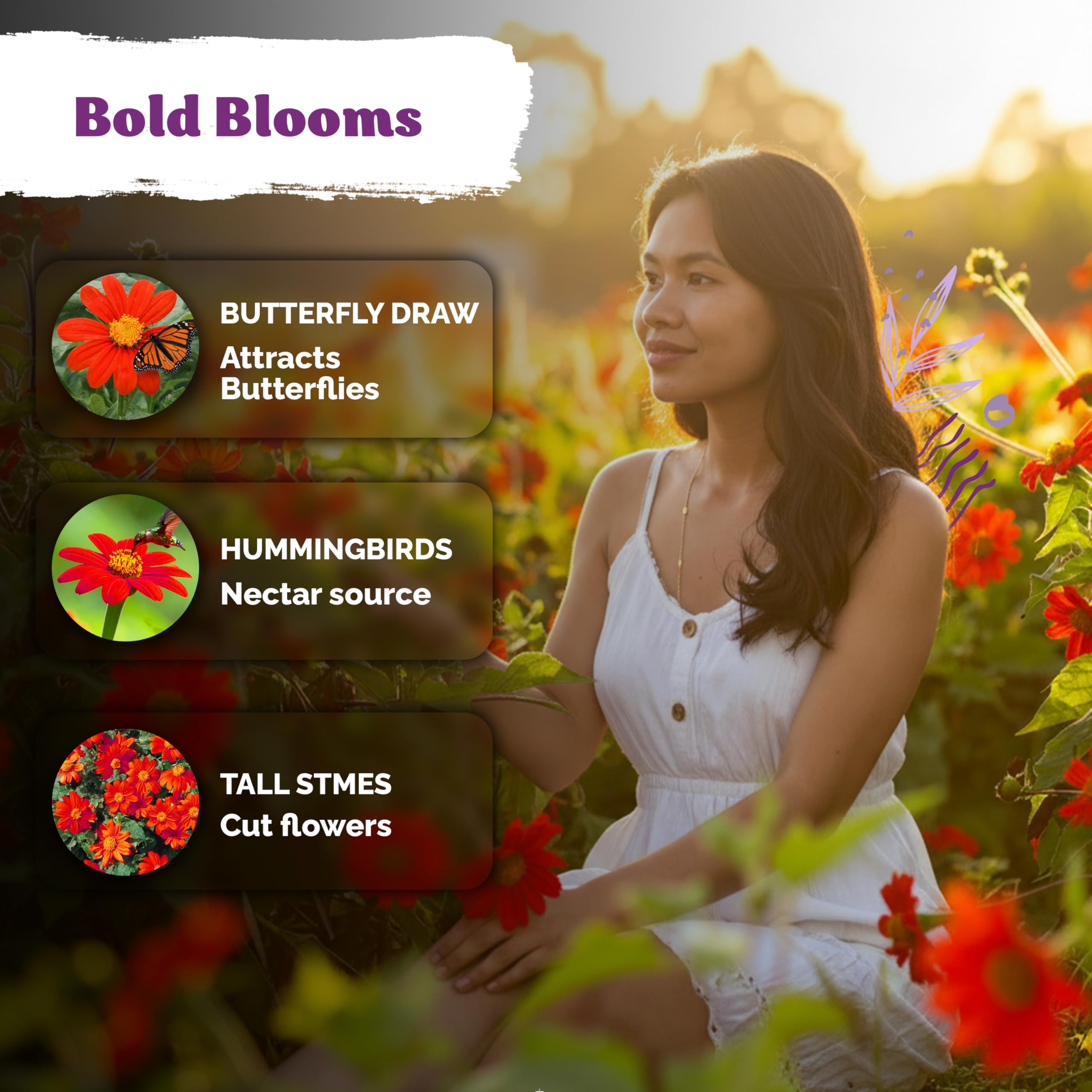 KVITER seeds with low-water care for drought-tolerant sunny gardens