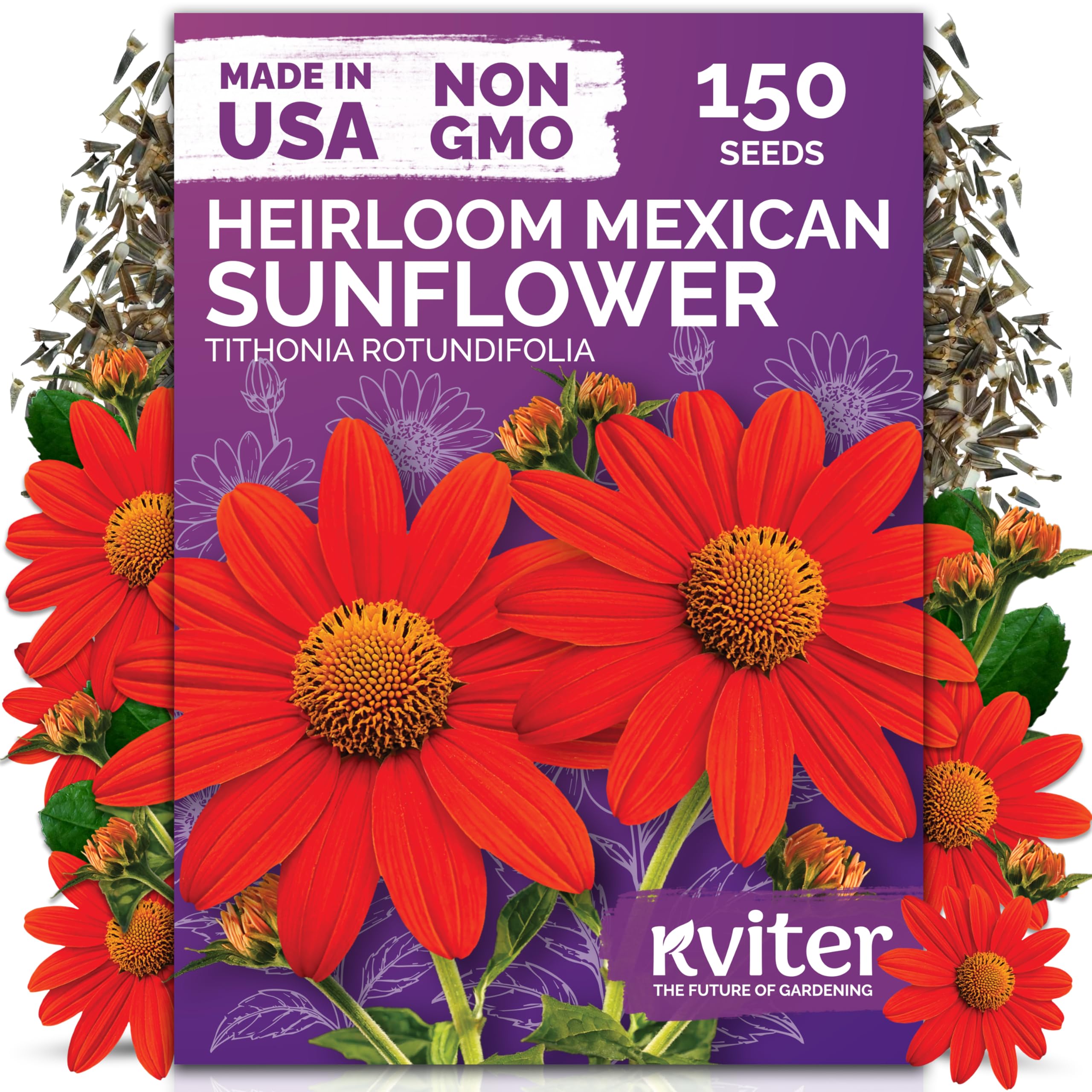 KVITER Mexican sunflower seeds for planting brighten garden beds and borders