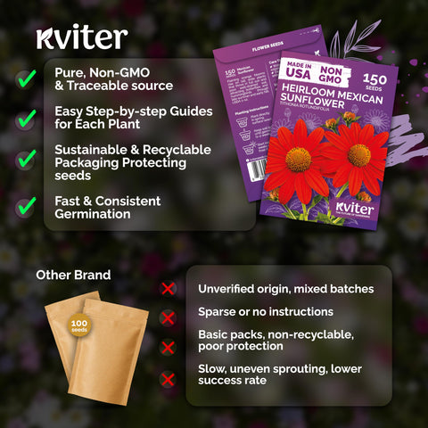KVITER attracts butterflies and hummingbirds in pollinator-friendly beds