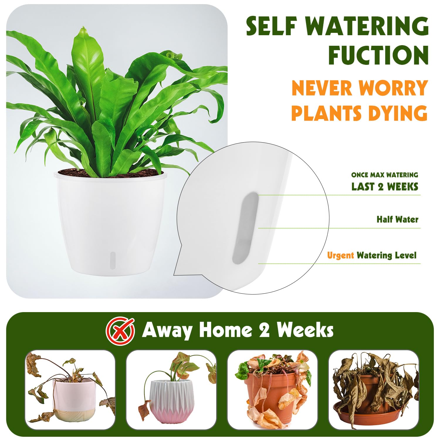 KvyusFlourish black self-watering pot with modern look and moisture awareness