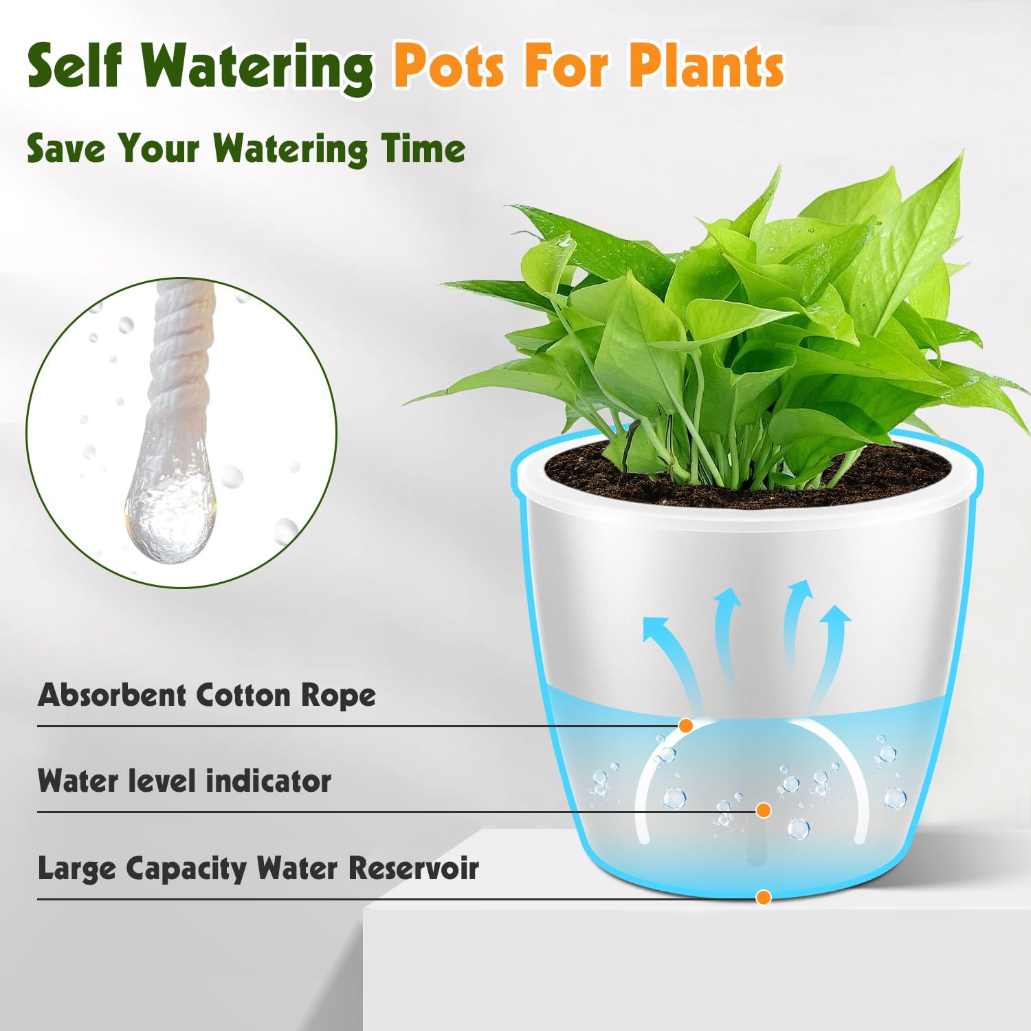 KvyusFlourish blue self-watering pot adds color while protecting roots