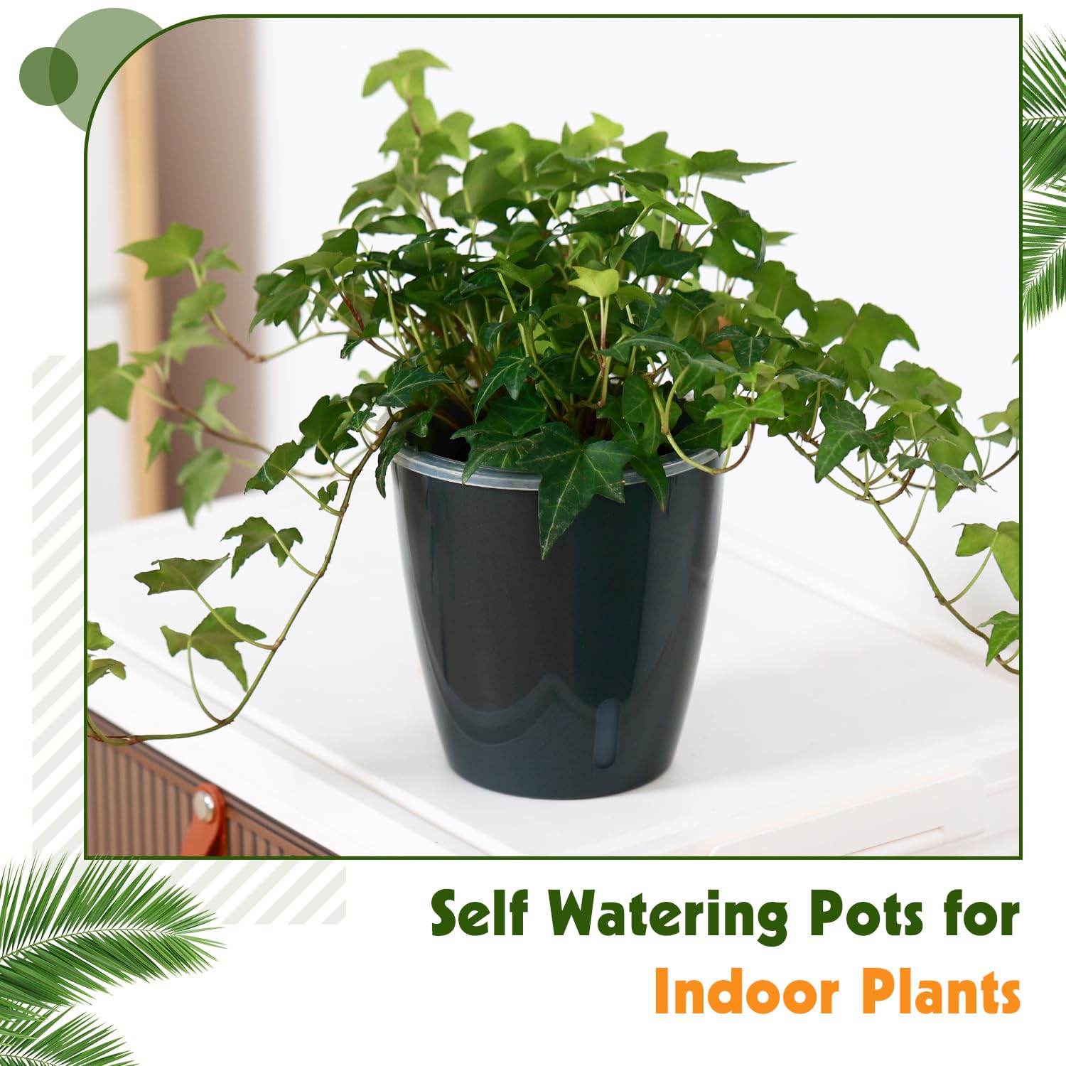 KvyusFlourish African violet pot supports healthy growth with self-watering.