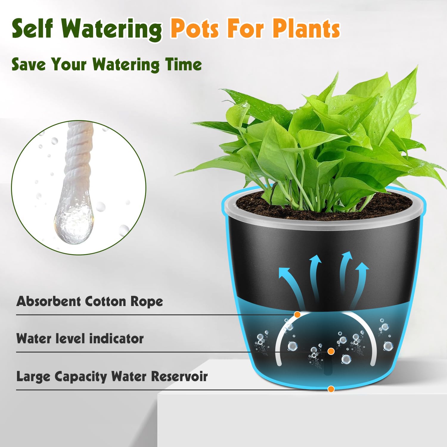 KvyusFlourish clear wick inner pot reveals root air circulation.