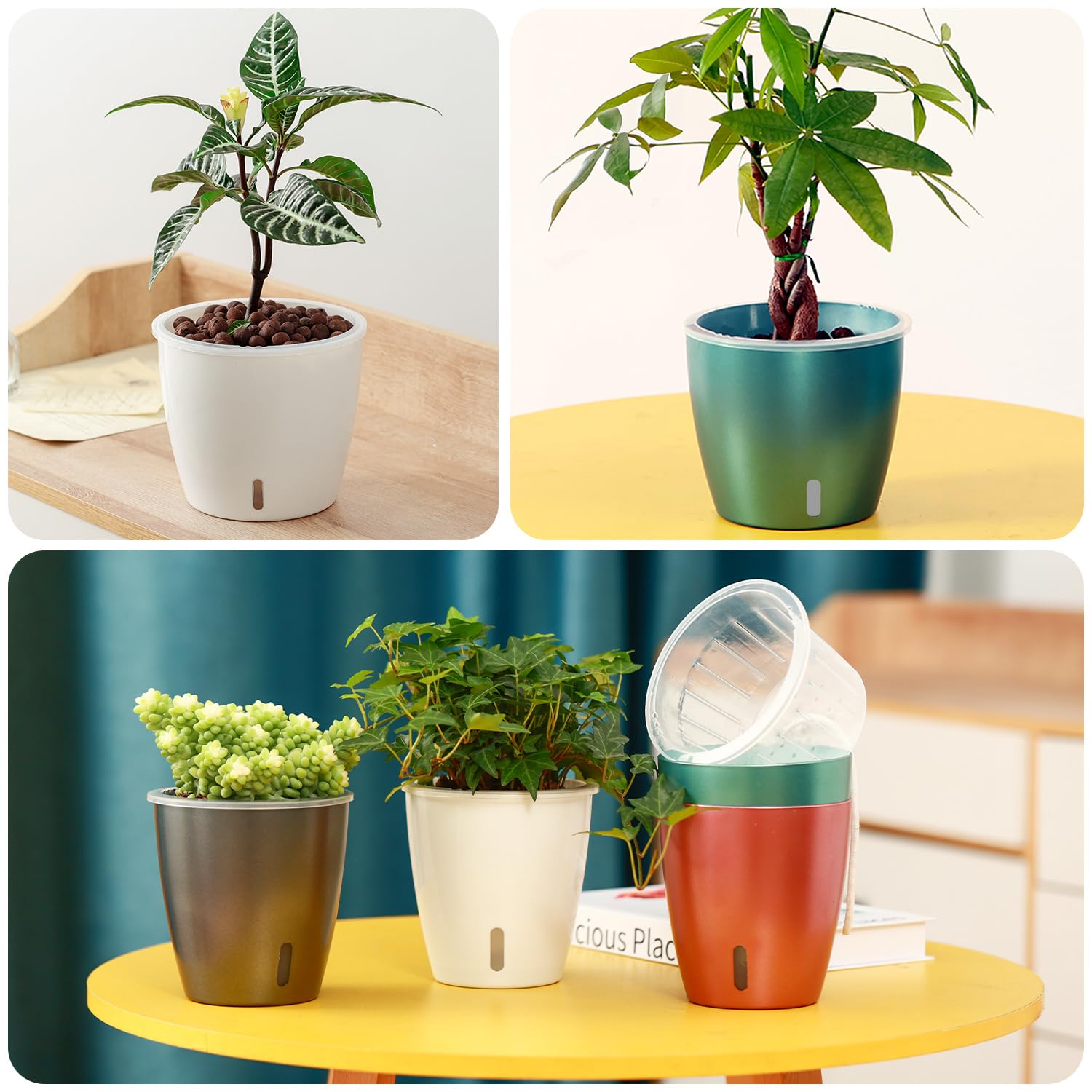 KvyusFlourish colorful plastic pot set adds style and practical self-watering benefits.