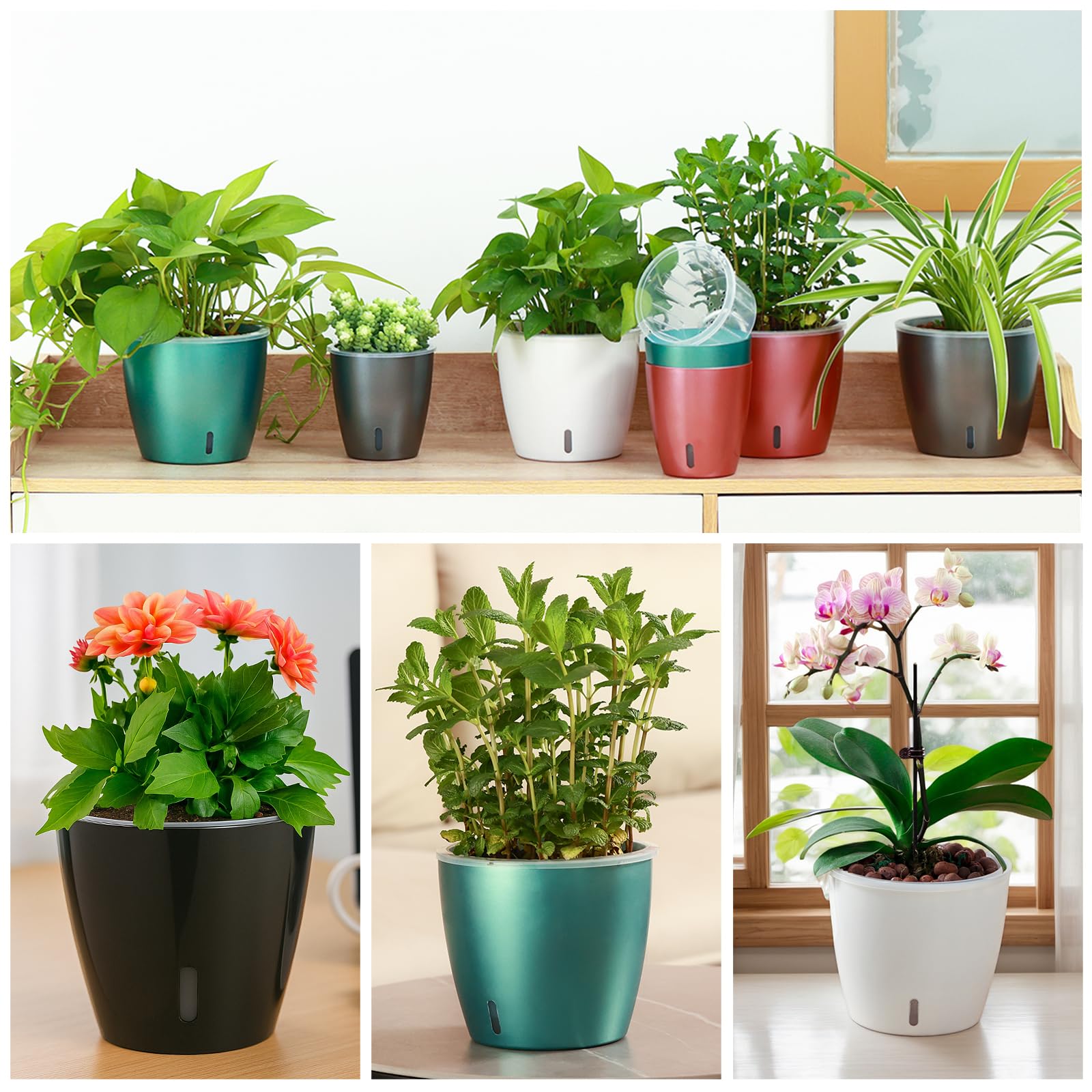 Desk-friendly plant pot complements any space.