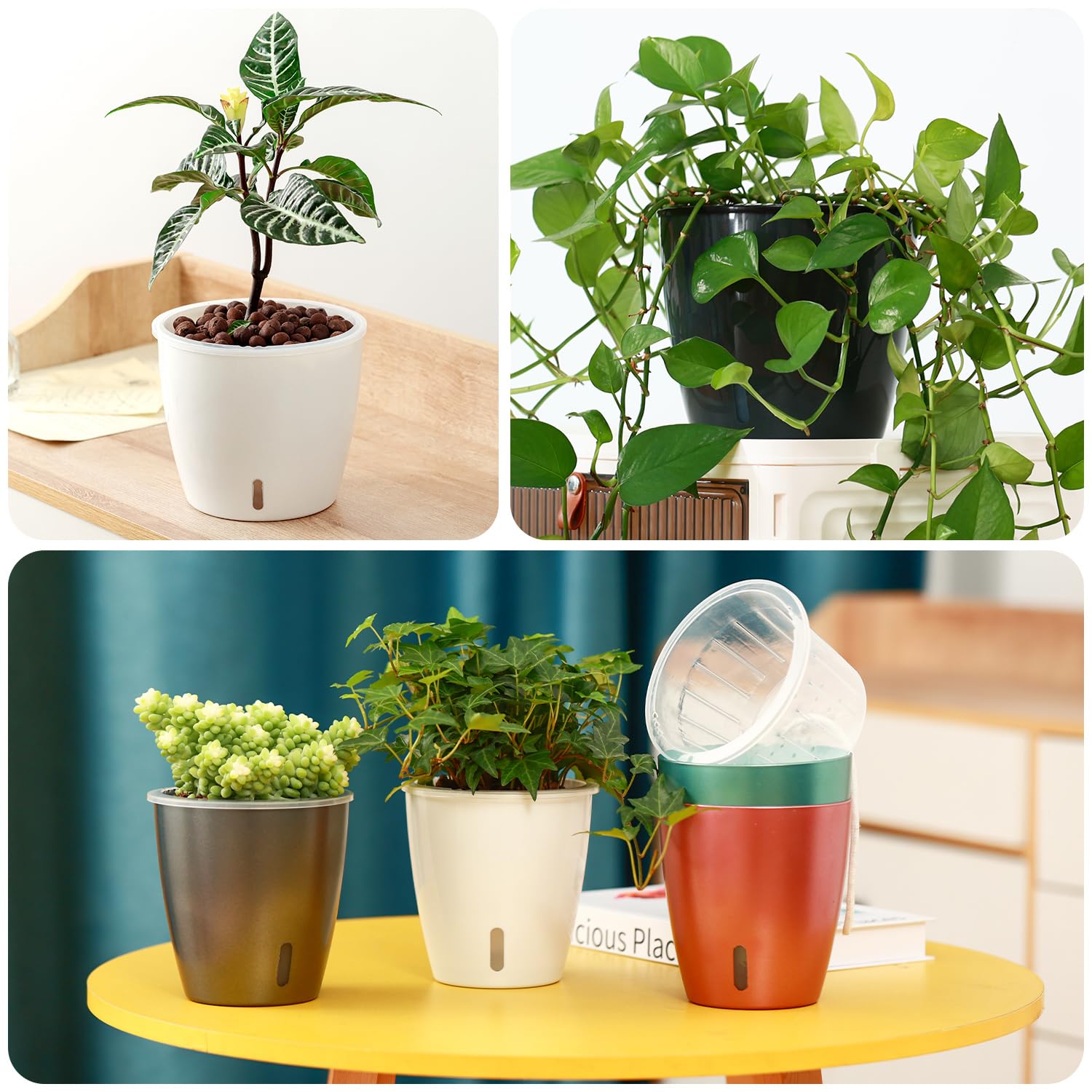 KvyusFlourish pot in gift-ready packaging with multiple colors.