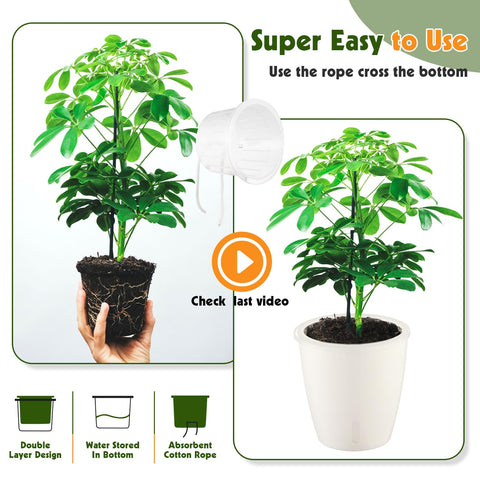 KvyusFlourish herb pot keeps herbs hydrated for longer shelf life.