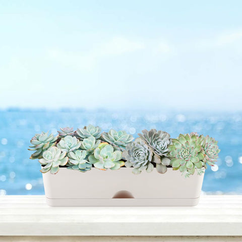 KvyusFlourish indoor-outdoor pots fit decks, balconies, or windowsills.