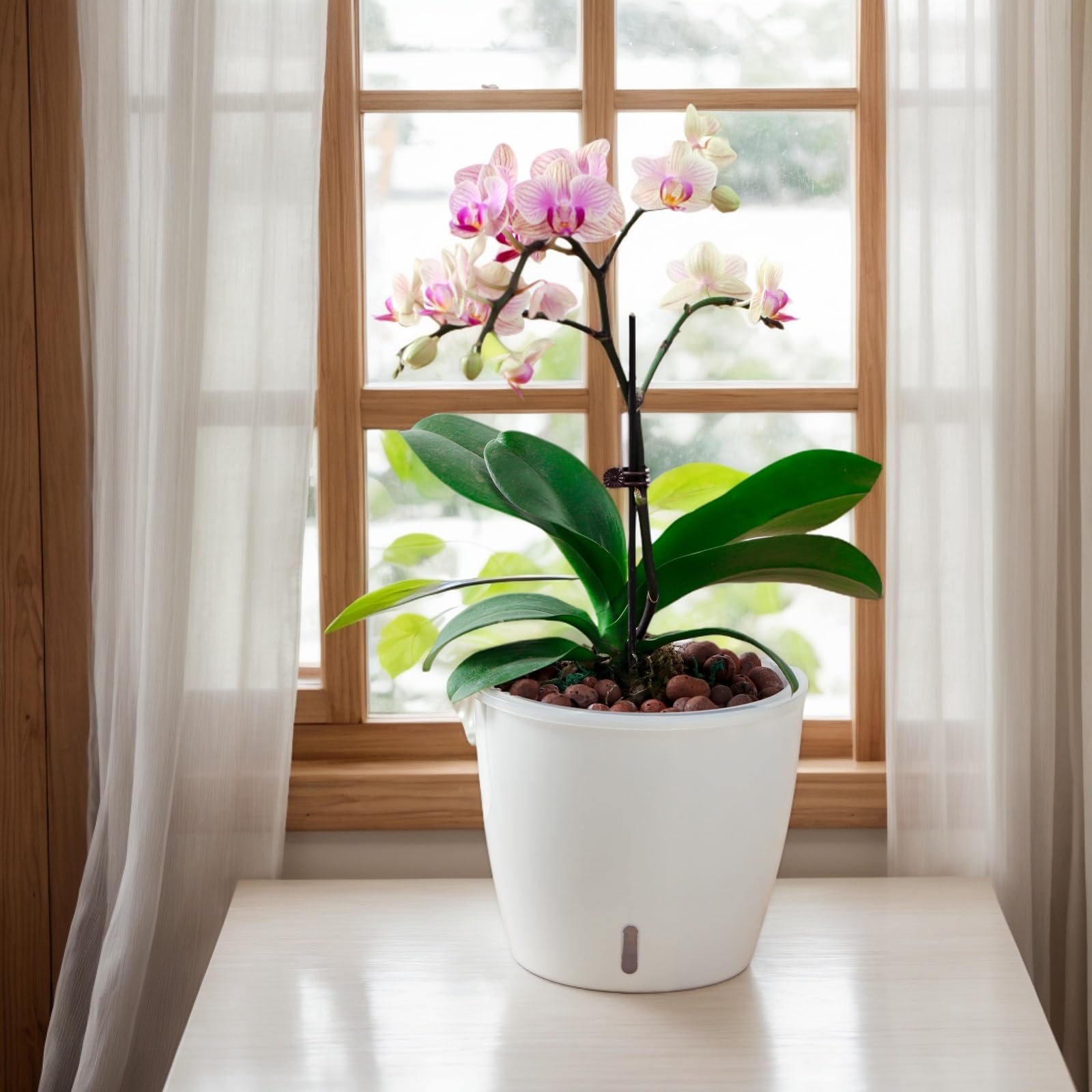 KvyusFlourish orchid pot with clear wick inner pot for delicate roots.
