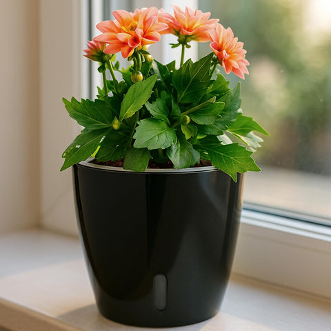 KvyusFlourish pot demonstrates two-week water storage for busy plant lovers.