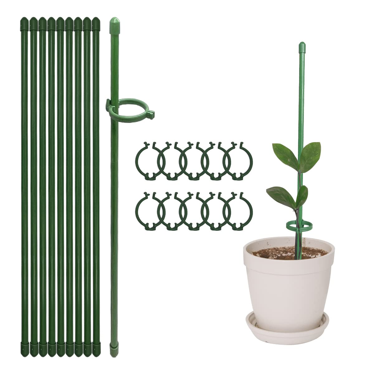 KVZVK 12-inch plant stake with ring buckle supports stems for straight growth indoors
