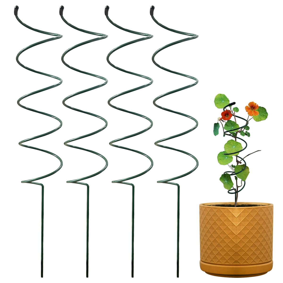 KVZVK 4Pack spiral tomato stakes in soil provide sturdy support for climbing plants.