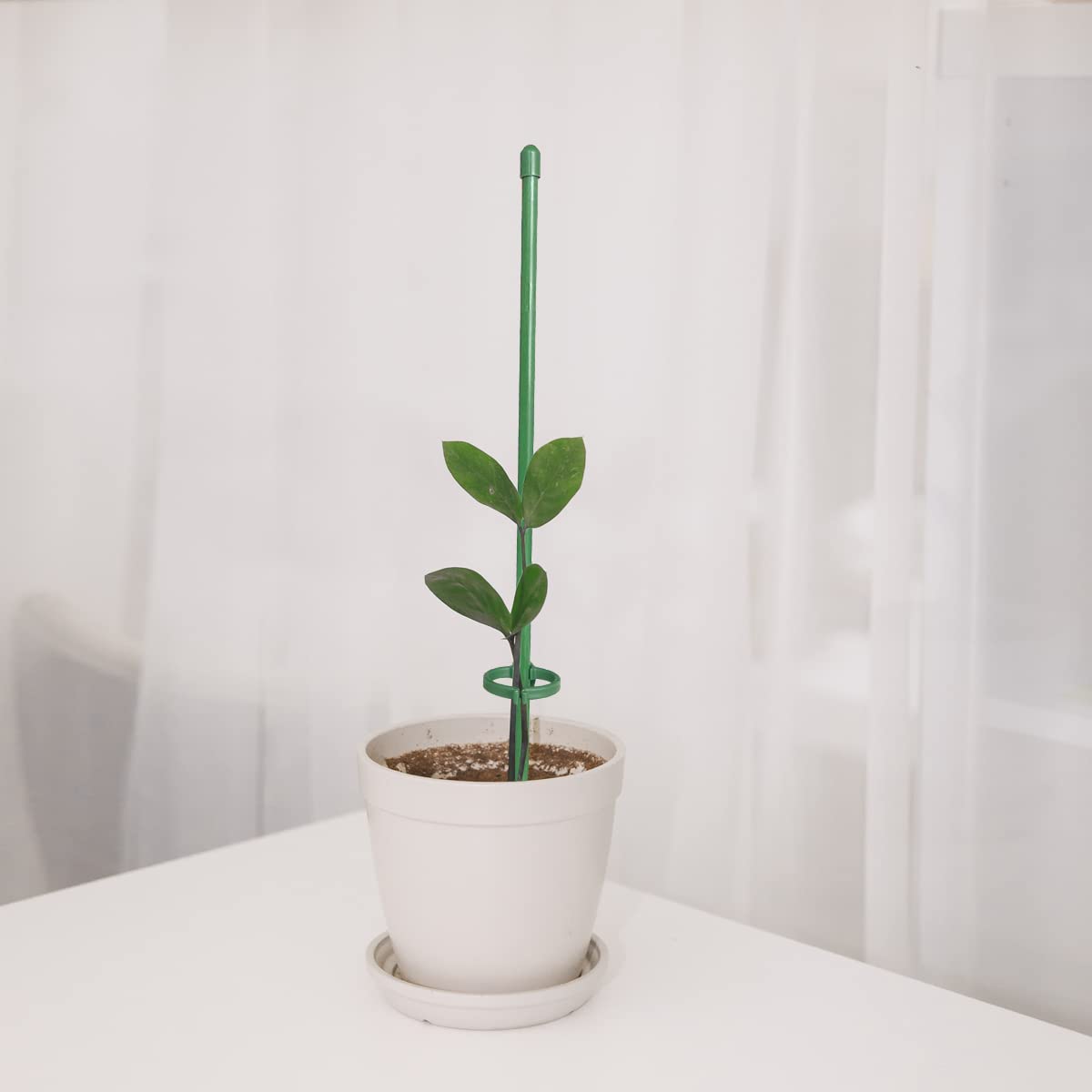 KVZVK adjustable ring buckles secure plant stems and prevent bending