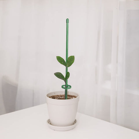 KVZVK adjustable ring buckles secure plant stems and prevent bending